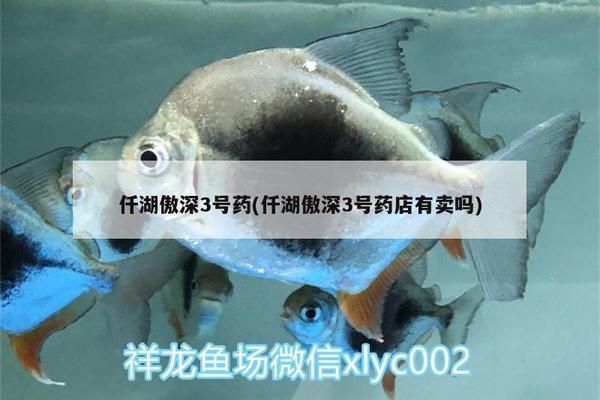 傲深龍魚3號(hào)（傲深龍魚3號(hào)是一種專用于治療龍魚疾病的藥劑）