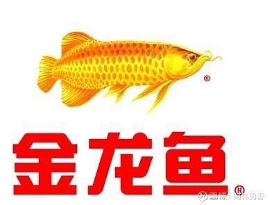 金龍魚雪球，金龍魚市場競爭力分析金龍魚市場競爭力分析