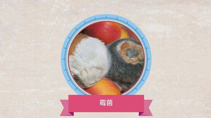 紅龍魚霉菌病怎樣治療效果好：紅龍魚霉菌病怎樣治療效果好紅龍魚霉菌病怎樣治療效果好