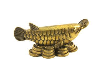 龍魚(yú)擋煞：科學(xué)角度解析龍魚(yú)擋煞原理 龍魚(yú)擋煞：科學(xué)角度解析龍魚(yú)擋煞原理 龍魚(yú)百科 第3張