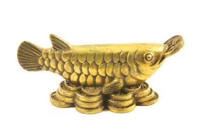 龍魚(yú)擋煞：科學(xué)角度解析龍魚(yú)擋煞原理 龍魚(yú)擋煞：科學(xué)角度解析龍魚(yú)擋煞原理 龍魚(yú)百科 第1張