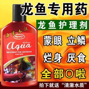 金龍魚凹眼怎么治：金龍魚凹眼怎么辦