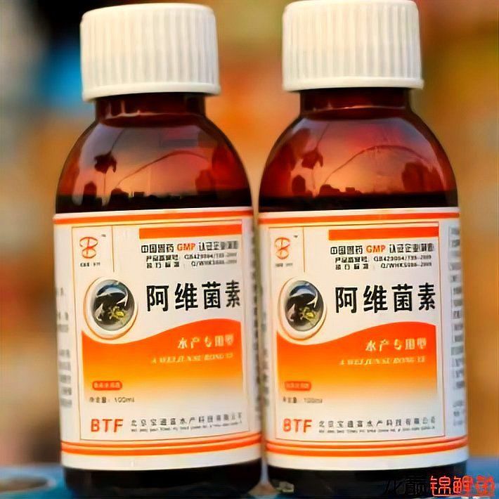 魚身上長紅點是什么病怎么治 魚身上長紅點是什么病怎么治 龍魚百科 第12張