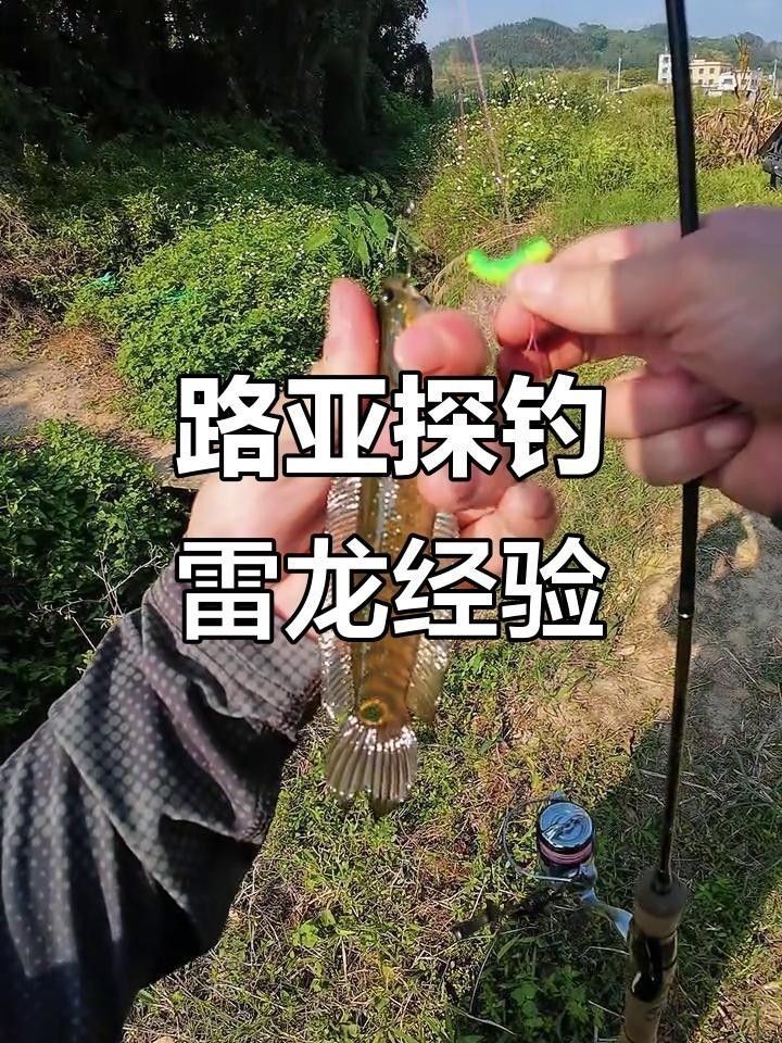 雷龍魚的最佳垂釣方法是什么