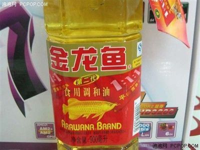 金龍魚去哪里買比較劃算：廣州芳村花鳥魚蟲市場購買金龍魚可以考慮以下幾個(gè)地方 金龍魚去哪里買比較劃算：廣州芳村花鳥魚蟲市場購買金龍魚可以考慮以下幾個(gè)地方 龍魚百科 第1張