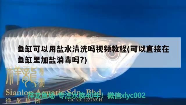 魚(yú)缸用增氧泵價(jià)格是多少:魚(yú)缸增氧機(jī)-xtrac增氧機(jī)-xtrac增氧機(jī) 魚(yú)缸可以用鹽水清洗嗎視頻教程(可以直接在魚(yú)缸里加鹽消毒嗎?) 龍魚(yú)百科 魚(yú)缸可以用鹽水清洗嗎視頻教程(可以直接在魚(yú)缸里加鹽消毒嗎?) 魚(yú)缸可以用鹽水清洗嗎視頻教程(可以直接在魚(yú)缸里加鹽消毒嗎?) 龍魚(yú)百科