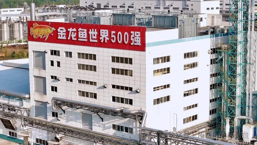 高港永安金龍魚公司