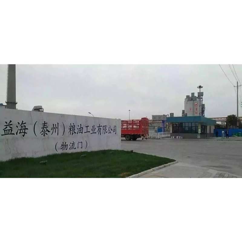 高港永安金龍魚公司
