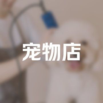 石家莊賣龍魚的市場