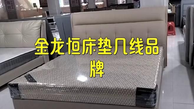 哪些品牌家具使用金龍元素？