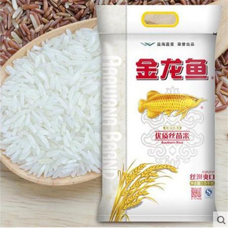 金龍魚的絲苗米怎么樣:金龍魚絲苗米怎么樣? 龍魚百科 第2張 金龍魚的絲苗米怎么樣:金龍魚絲苗米怎么樣? 金龍魚的絲苗米怎么樣:金龍魚絲苗米怎么樣? 龍魚百科 第2張