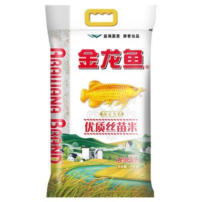 金龍魚的絲苗米怎么樣:金龍魚絲苗米怎么樣? 龍魚百科 第1張 金龍魚的絲苗米怎么樣:金龍魚絲苗米怎么樣? 金龍魚的絲苗米怎么樣:金龍魚絲苗米怎么樣? 龍魚百科 第1張