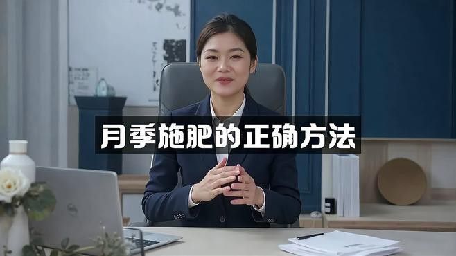 如何給紅龍月季施肥？