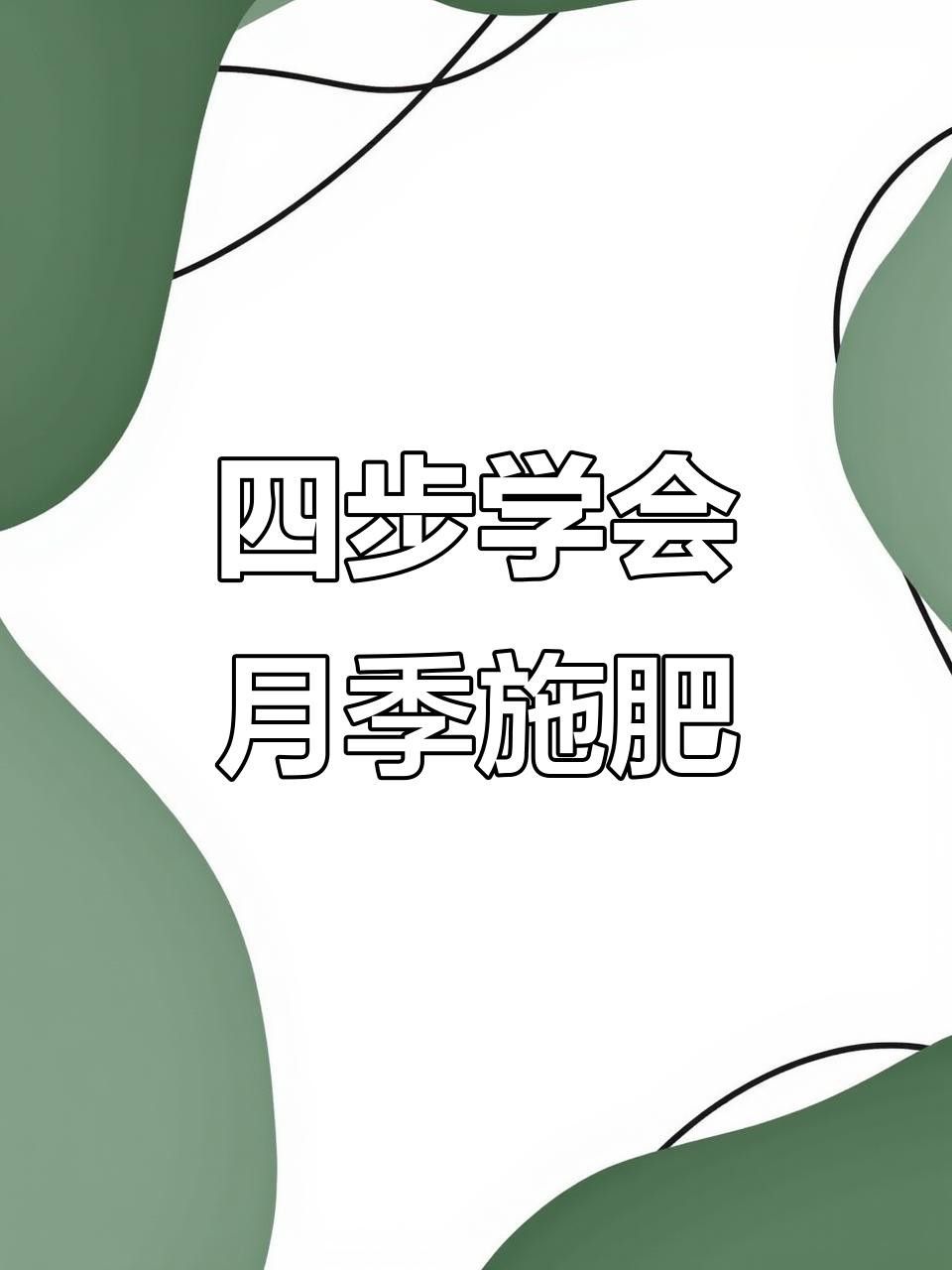 如何給紅龍月季施肥？