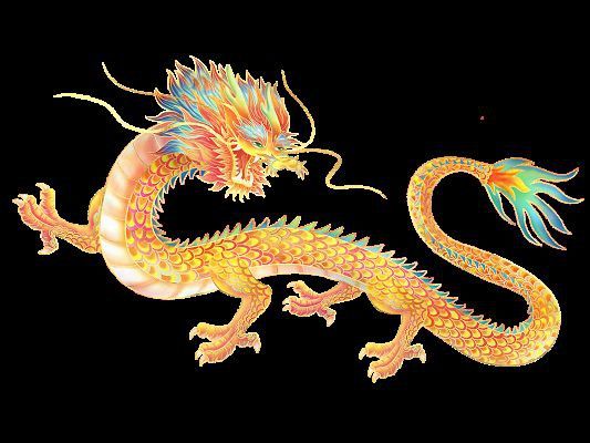 金龍金頭圖片