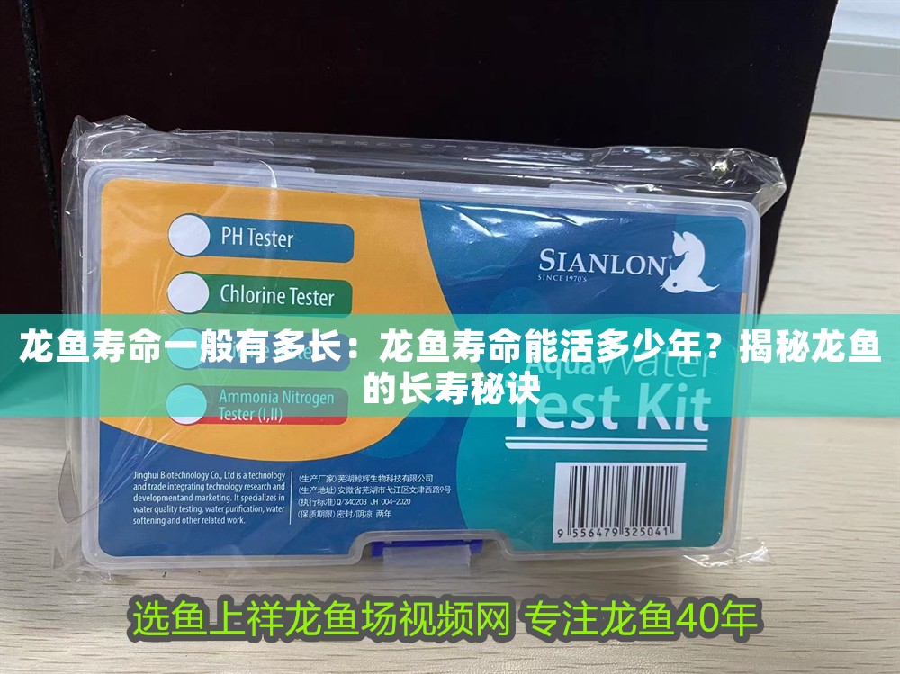 龍魚壽命一般有多長：龍魚壽命能活多少年？揭秘龍魚的長壽秘訣
