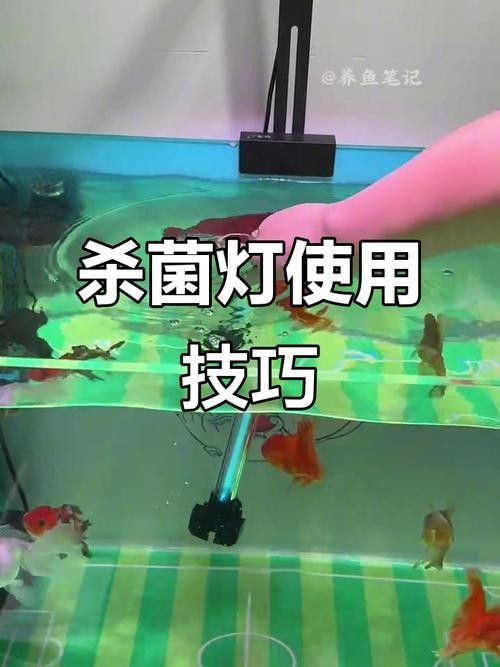 馬印和仟湖哪個品牌更好？