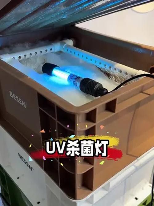 馬印和仟湖哪個品牌更好？