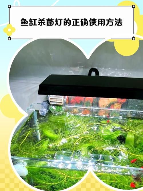 馬印和仟湖哪個品牌更好？