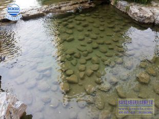 銀龍魚(yú)水質(zhì)凈化設(shè)備選擇：銀龍魚(yú)水質(zhì)凈化設(shè)備的選擇