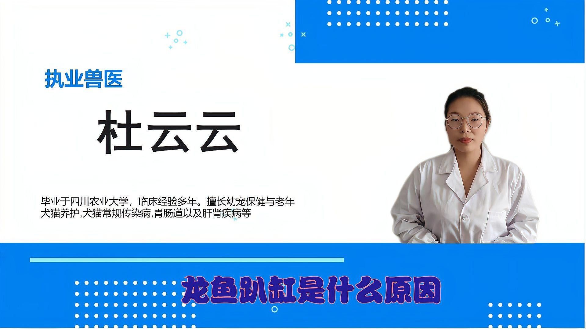 龍魚一直趴缸怎么辦