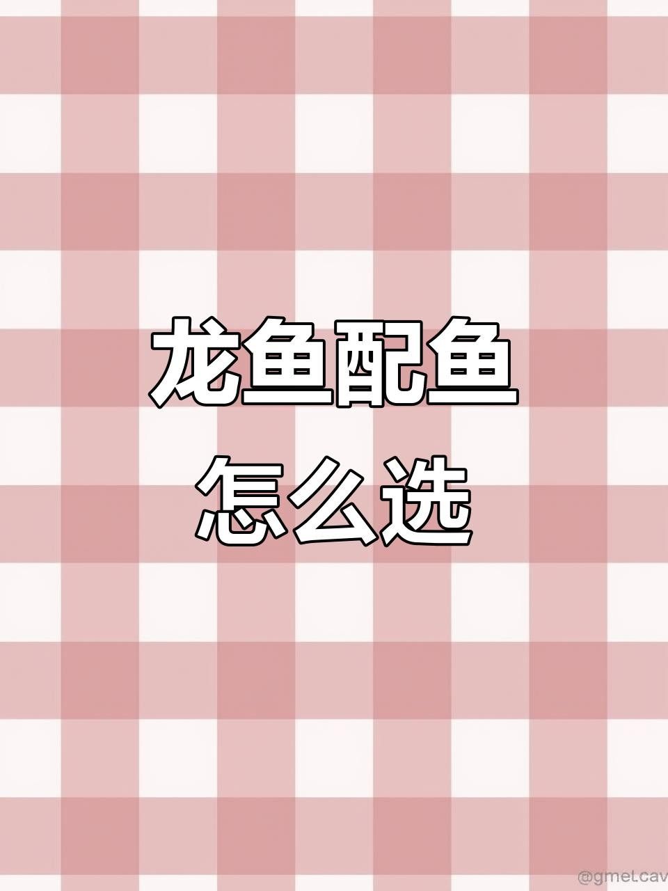 龍魚配魚有哪些品種？ 龍魚配魚有哪些品種？ 龍魚百科 第8張