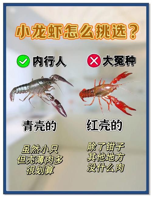 如何判斷小龍蝦是否新鮮？ 如何判斷小龍蝦是否新鮮？ 龍魚百科 第2張