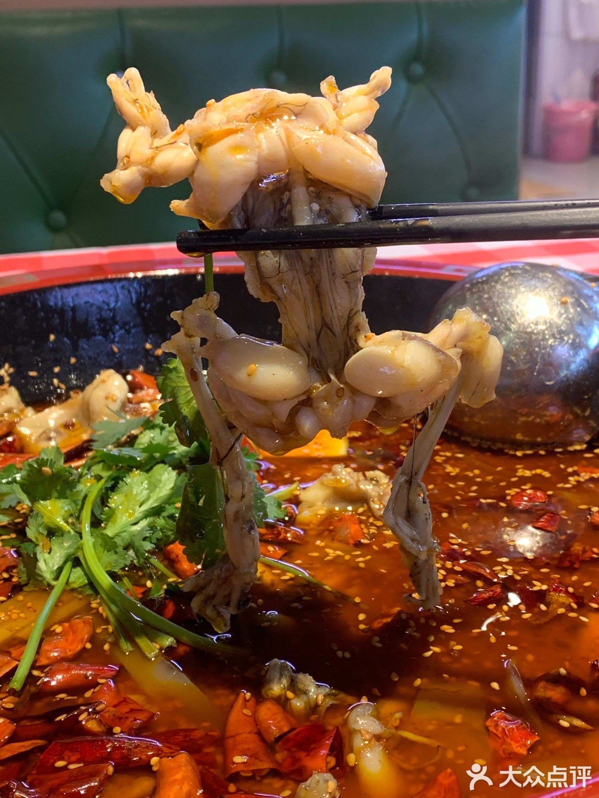 深圳龍魚批發(fā)在哪里買好 深圳龍魚批發(fā)在哪里買好 龍魚百科 第1張