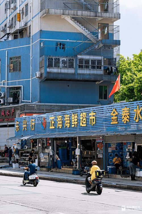 深圳龍魚批發(fā)在哪里買好 深圳龍魚批發(fā)在哪里買好 龍魚百科 第5張