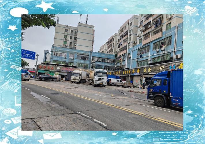 深圳龍魚批發(fā)在哪里買好 深圳龍魚批發(fā)在哪里買好 龍魚百科 第4張