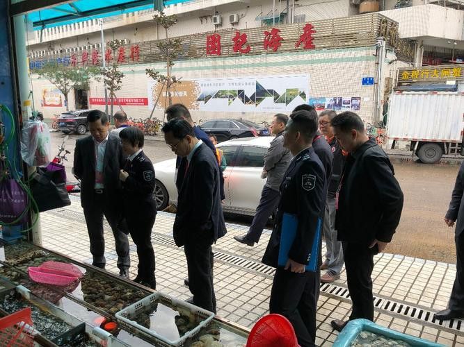 深圳龍魚批發(fā)在哪里買好 深圳龍魚批發(fā)在哪里買好 龍魚百科 第9張