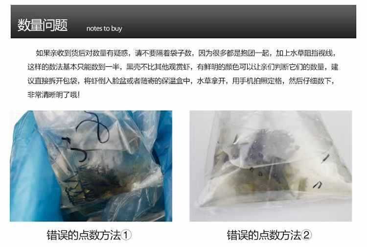 龍魚裝在袋子里不打氧能活多久（龍魚在袋子里不打氧的存活時間通常不超過一天）