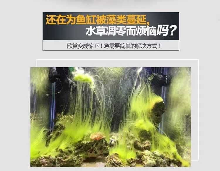 龍魚裝在袋子里不打氧能活多久（龍魚在袋子里不打氧的存活時(shí)間通常不超過一天）