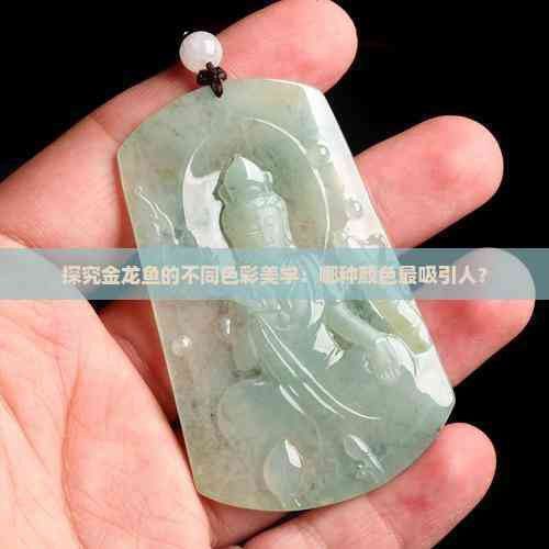 金龍魚用什么顏色燈好看點 金龍魚用什么顏色燈好看點 龍魚百科 第8張