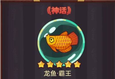 買龍魚微信交易,微信交易購買龍魚流程和注意事項 龍魚百科 第3張 買龍魚微信交易,微信交易購買龍魚流程和注意事項 買龍魚微信交易,微信交易購買龍魚流程和注意事項 龍魚百科 第3張