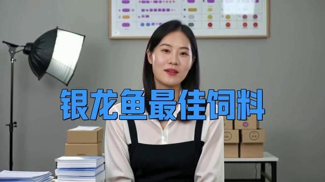 銀龍魚可以隨便養(yǎng)嗎