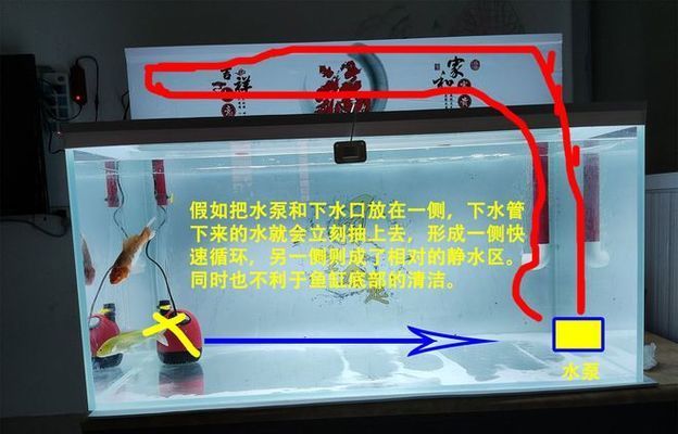 giea是什么牌子魚缸（giea魚缸的市場評價如何giea魚缸適合養哪些魚類） giea是什么牌子魚缸（giea魚缸的市場評價如何giea魚缸適合養哪些魚類） 龍魚百科