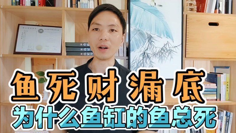 能否提供更多龍魚死亡的風水案例？ 能否提供更多龍魚死亡的風水案例？ 龍魚百科 第4張