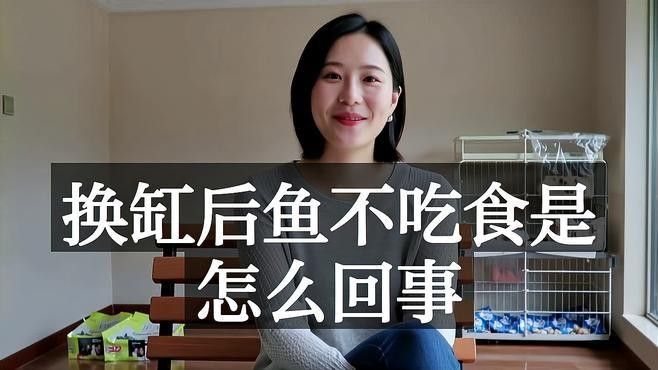 銀龍魚換缸以后為什么不吃食