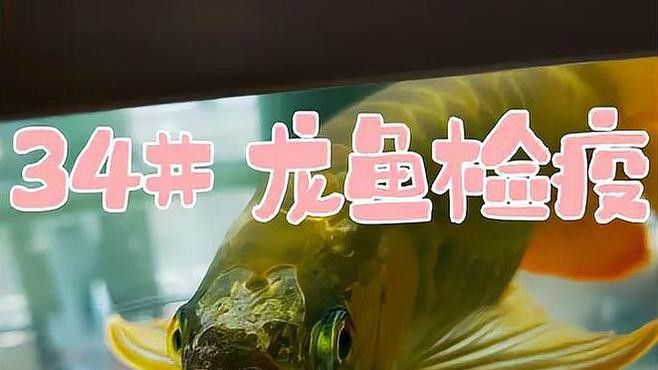 有哪些藥物可以預(yù)防金龍魚(yú)疾病？ 有哪些藥物可以預(yù)防金龍魚(yú)疾病？ 龍魚(yú)百科 第2張