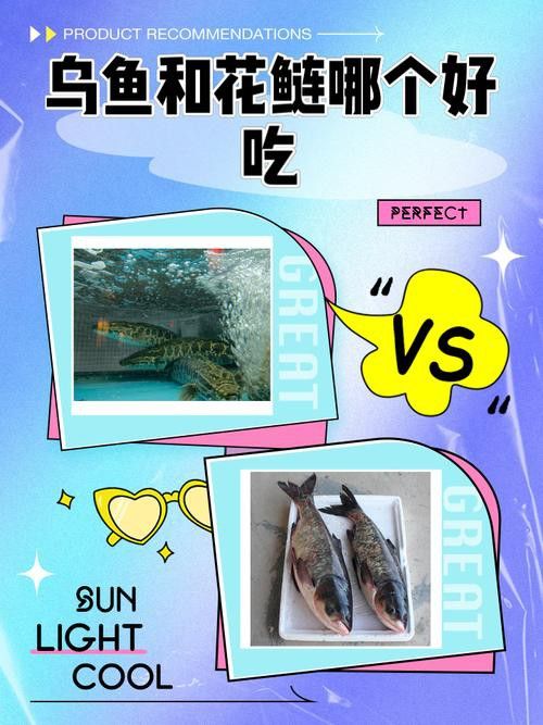 烏魚龍魚哪個好吃一點啊