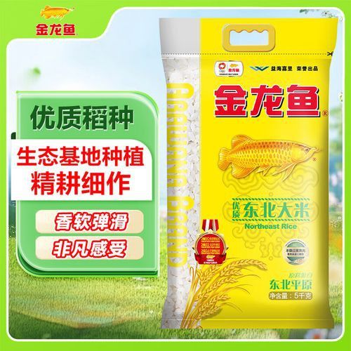 金龍魚餐飲優選梗米 金龍魚餐飲優選梗米 龍魚百科 第3張