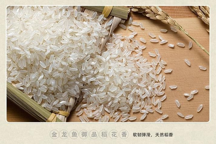 金龍魚餐飲優選梗米 金龍魚餐飲優選梗米 龍魚百科 第8張