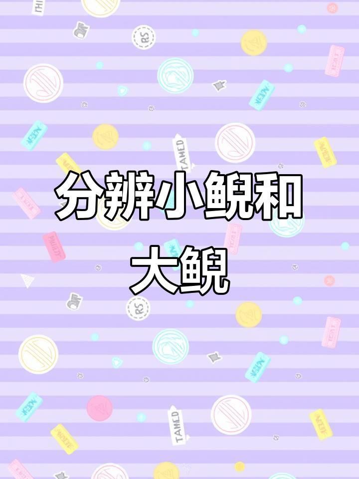 如何區(qū)分蠑螈和大鯢 如何區(qū)分蠑螈和大鯢 龍魚百科 第3張