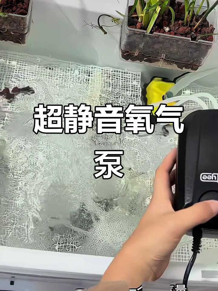 口碑最好的靜音氧氣泵