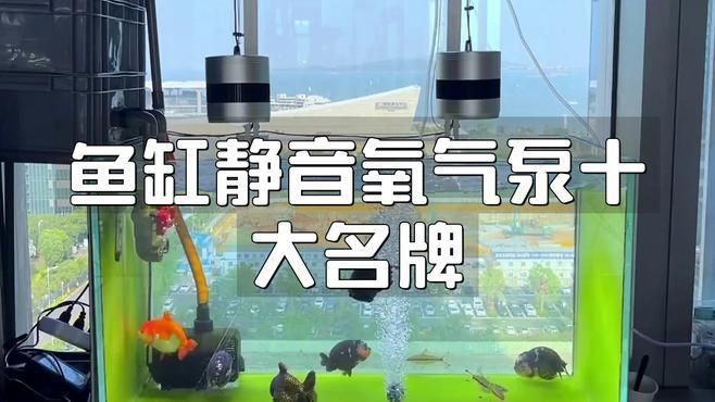 口碑最好的靜音氧氣泵