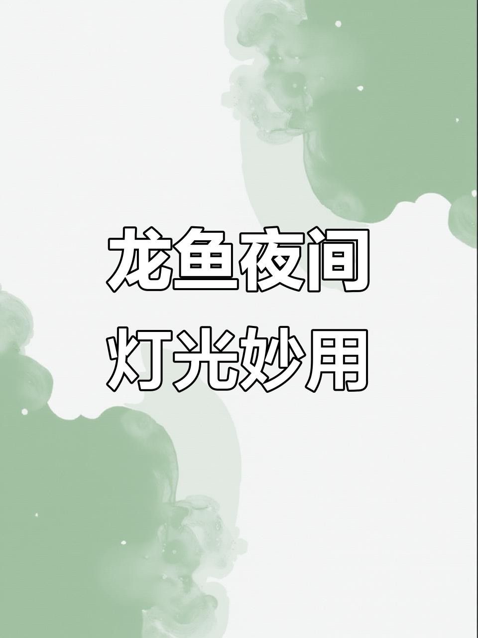 如何設置銀龍魚混養缸的光照？