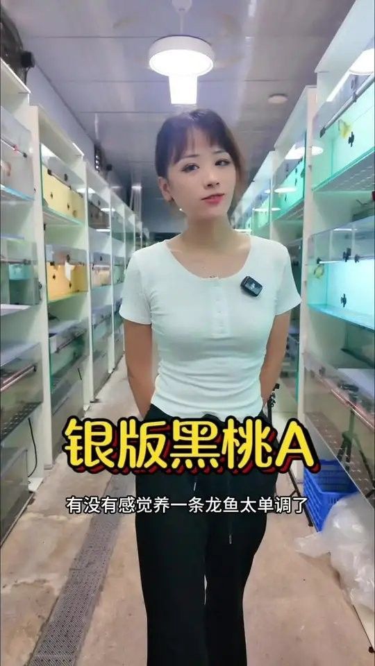 黑食魚和龍魚混養(yǎng)好不好 黑食魚和龍魚混養(yǎng)好不好 龍魚百科 第4張