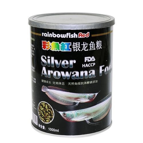 銀龍魚可以和招財魚混養嗎圖片 龍魚百科 第14張 銀龍魚可以和招財魚混養嗎圖片 銀龍魚可以和招財魚混養嗎圖片 龍魚百科 第14張