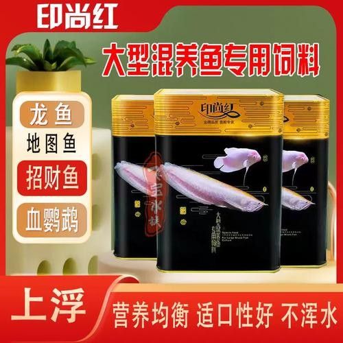 銀龍魚可以和招財魚混養嗎圖片 龍魚百科 第16張 銀龍魚可以和招財魚混養嗎圖片 銀龍魚可以和招財魚混養嗎圖片 龍魚百科 第16張